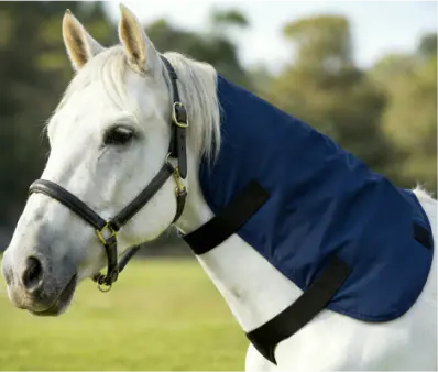 Unsere Bestseller Halstherapiemanschette