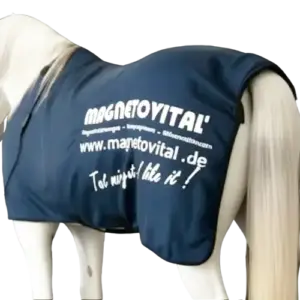 Unsere Lösungen Magnetfelddecken